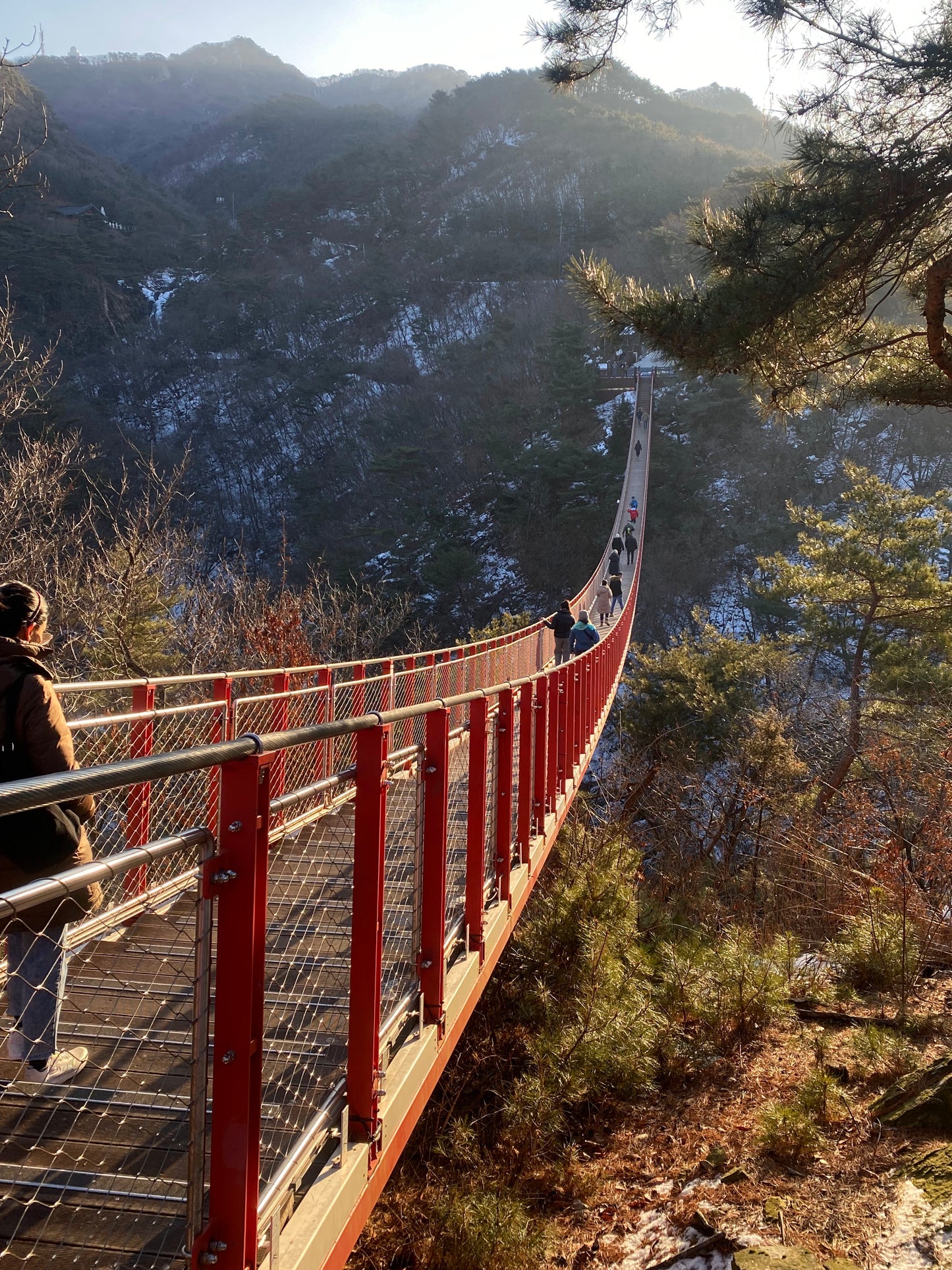 7 DAY BUDGET SOUTH KOREA GROUP TRIP - DEPOSIT ONLY