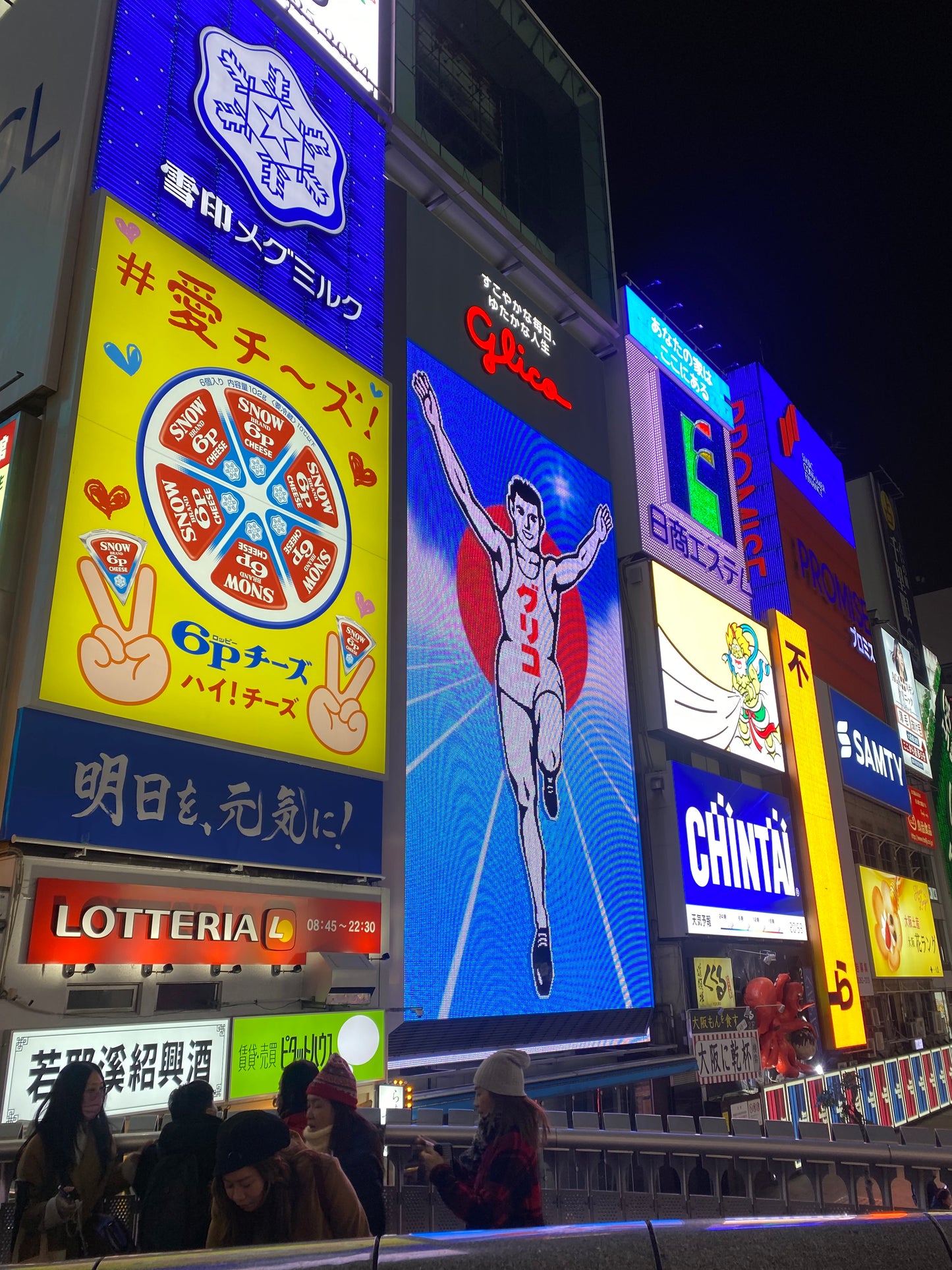 12 Day Adventure Japan Group Trip - DEPOSIT ONLY