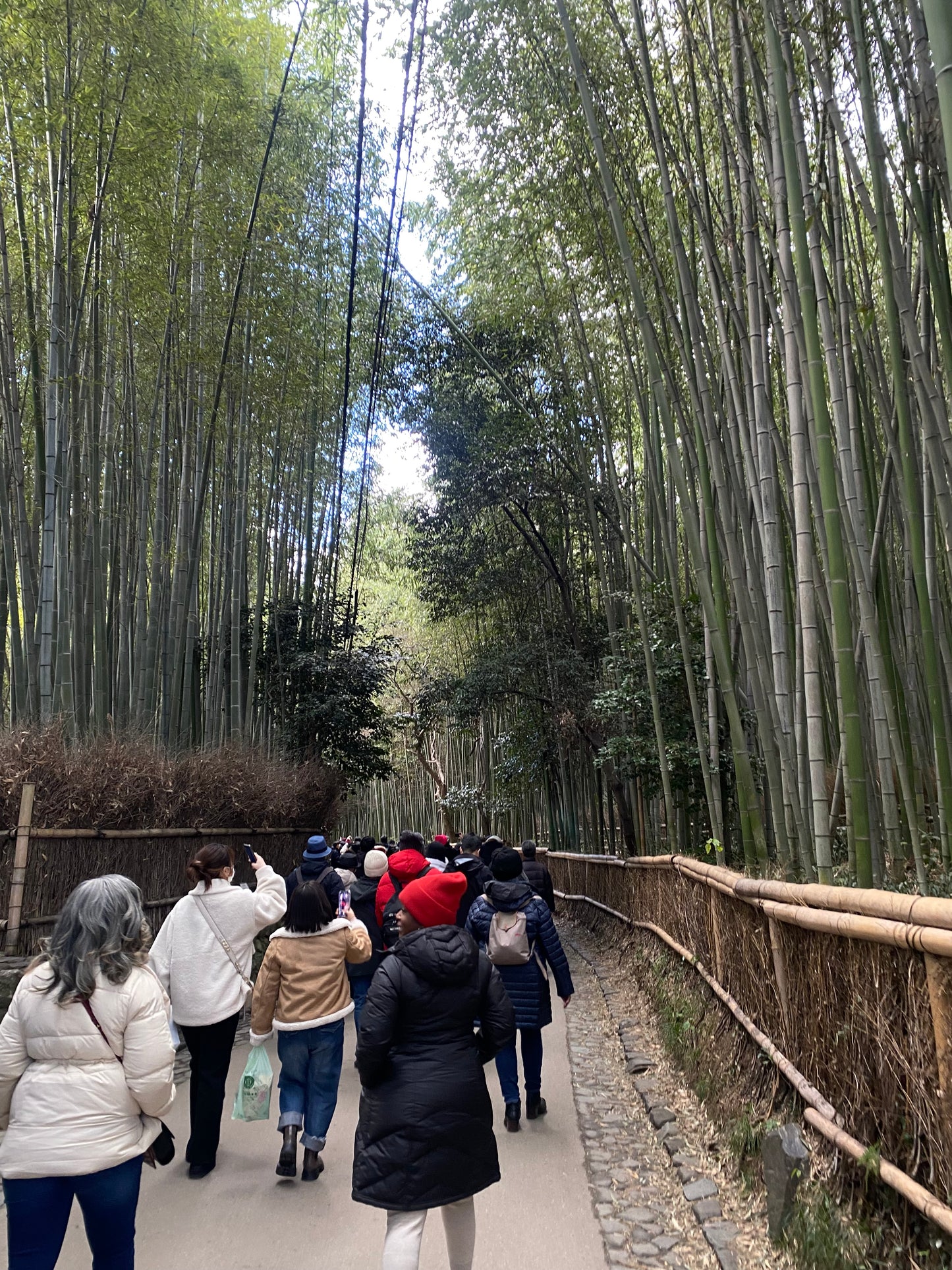 7 DAY BUDGET JAPAN GROUP TRIP - DEPOSIT ONLY
