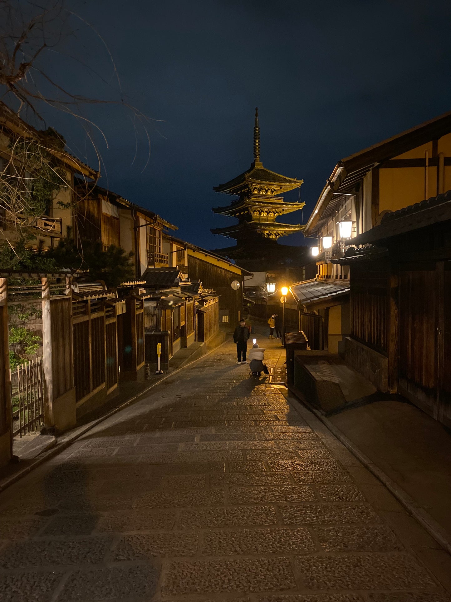 12 Day Adventure Japan Group Trip - DEPOSIT ONLY